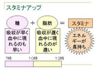 スキルアップ部会（情報）の様子2